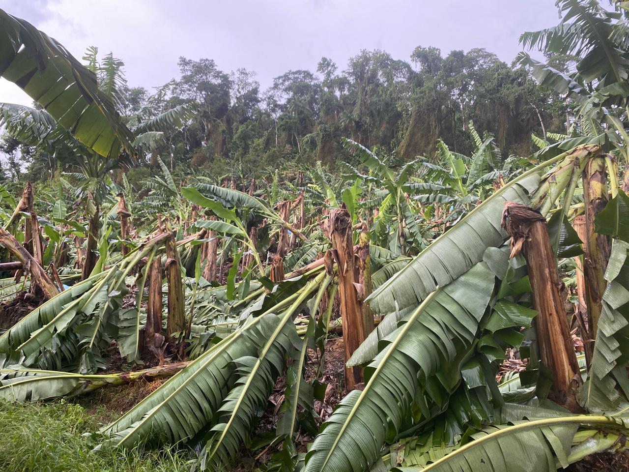 Secretaria da Agricultura e Pecuária e Epagri avaliam estragos causados por temporal no Norte do estado