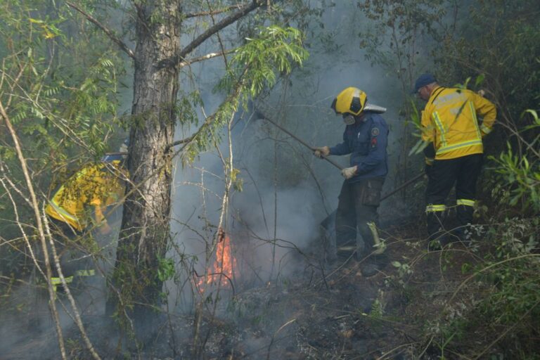 Tempo seco gera preocupação com incêndios em vegetação e bombeiros alertam para cuidados