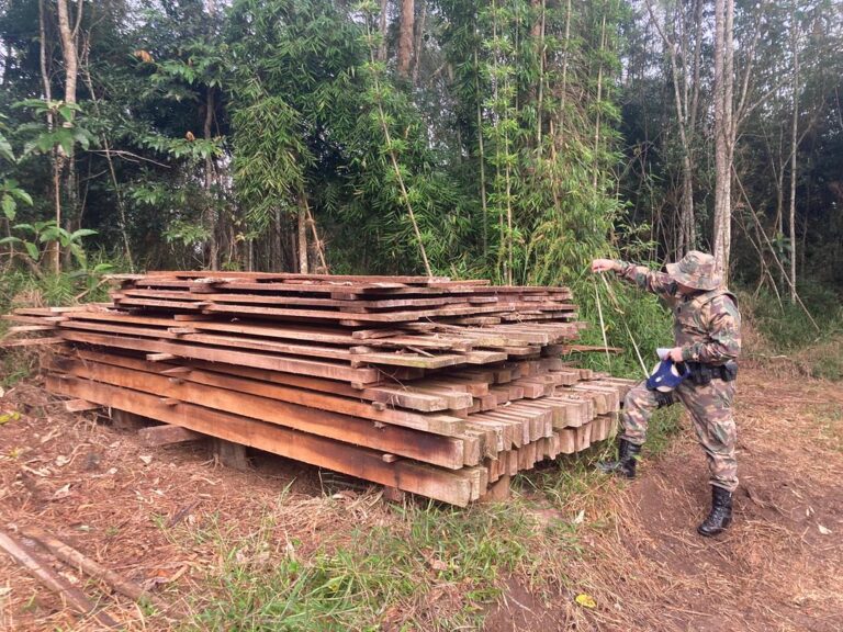Gaeco e PMA deflagram operação contra desmate ilegal em área de Mata Atlântica em Santa Terezinha