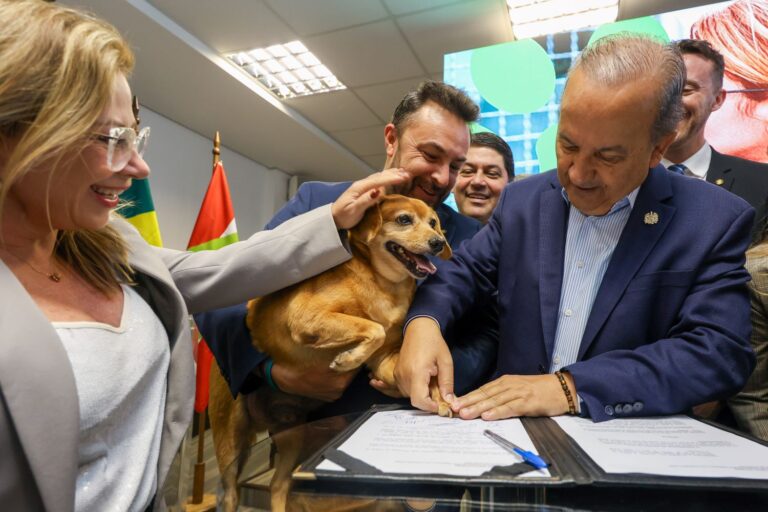 Governo SC lança maior programa estadual de castração animal do país
