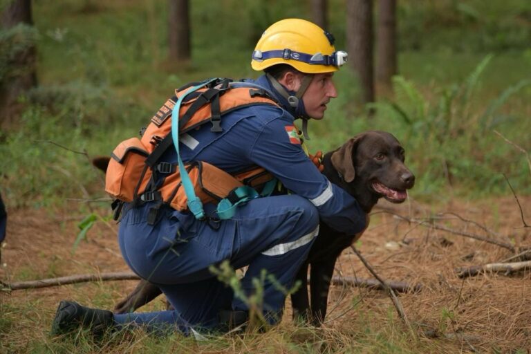 Dupla catarinense formada por bombeiro militar e cão de busca possui o maior número de certificações nacionais ativas do país