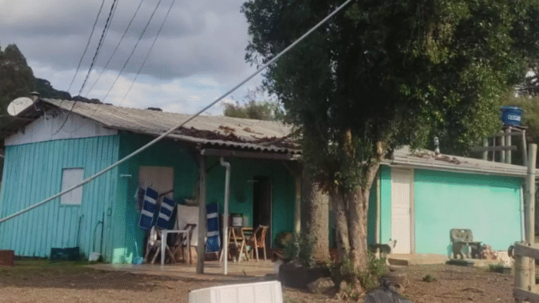 Homem morre eletrocutado ao colher pinhão com haste metálica em SC