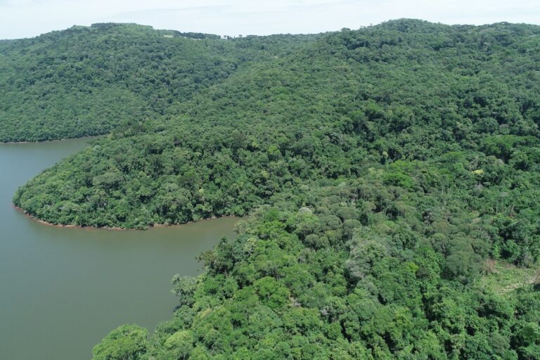 Pesquisa nacional aponta que Santa Catarina reduziu em 12% o desmatamento da Mata Atlântica