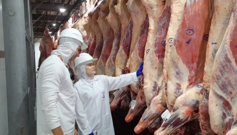Dia Mundial das Zoonoses: cuidar da saúde animal é cuidar da saúde humana