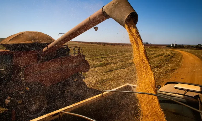 Produção brasileira de grãos deve ser 14,2% maior