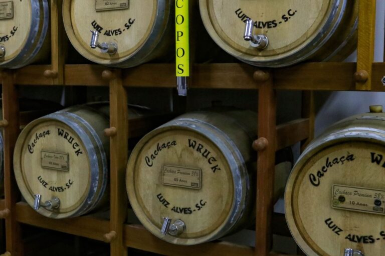 Santa Catarina lidera criação de novas marcas de cachaça no país