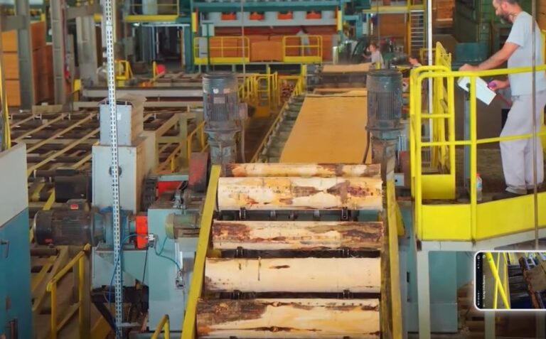 Tarifaço de Trump isenta setor madeireiro, com forte presençTarifaço de Trump isenta setor madeireiro, com forte presença no Planalto Nortea no Planalto Norte