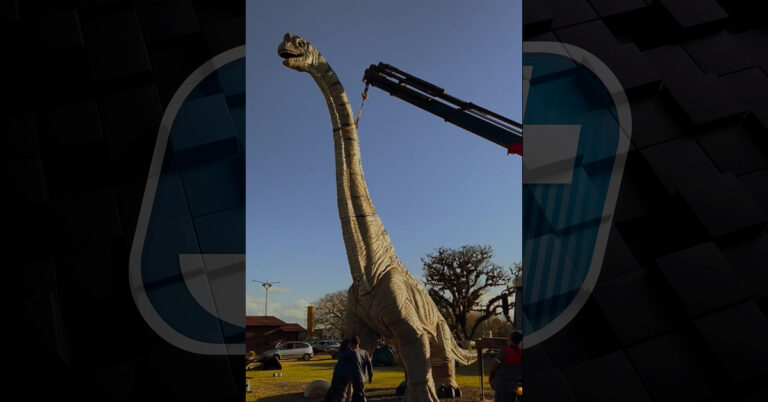 Estrutura do Parque dos Dinossauros começa a ser montada em Três Barras