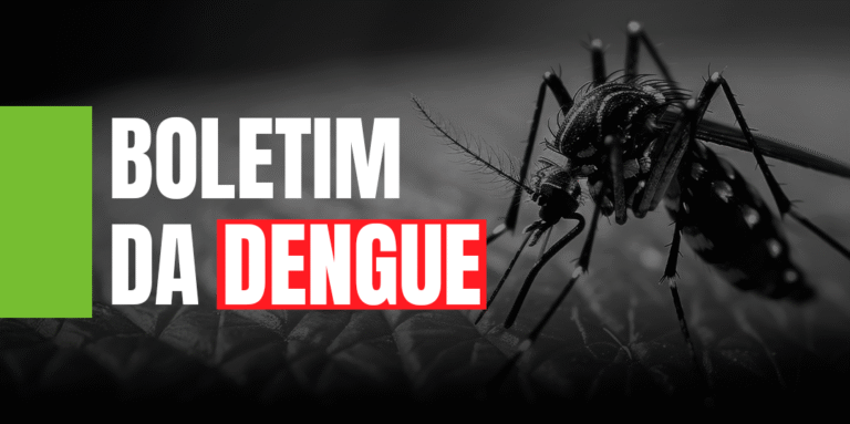 Dengue SC: Saúde registra mais de 52 mil focos do mosquito Aedes aegypti no estado