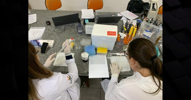 Projeto da Uniarp transforma bagaço de uva em produto com potencial para melhorar saúde metabólica