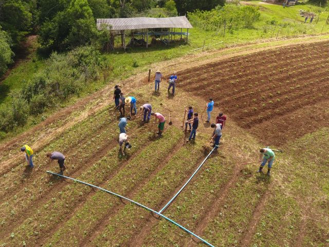 Epagri e Secretaria da Educação abrem inscrições gratuitas para ingressar nos Cedups Agrotécnicos