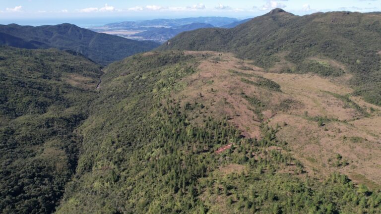 Meio Ambiente  Iniciam os trabalhos de controle de pinus nos campos naturais do Parque Estadual da Serra do Tabuleiro     Foto Controle de pinus  Fotos: Arquivo/IMA     As atividades de campo do Projeto de Controle e Monitoramento de Pinus spp nos campos naturais da Serra do Cambirela, dentro do Parque Estadual da Serra do Tabuleiro (PAEST), estão previstas para iniciar na próxima semana, a partir do dia 17 de novembro. Nessa etapa, devem ser executadas a retirada de árvores e mudas de pinus em uma área de 160 hectares. Devido aos trabalhos, algumas áreas da Serra do Cambirela estarão com acesso temporariamente restrito.     O projeto é financiado pela Axia Energia (antiga Eletrobras CGT Eletrosul) e desenvolvido em parceria com o Instituto do Meio Ambiente de Santa Catarina (IMA), gestor da unidade de conservação. Ele faz parte de um compromisso assumido pela empresa financiadora no licenciamento ambiental do Sistema de Reforço Eletroenergético ao Litoral Catarinense e à Ilha de Santa Catarina, que foi conduzido pelo Instituto Brasileiro do Meio Ambiente e dos Recursos Naturais Renováveis (Ibama).     Devido à derrubada de árvores de pinus, que será realizada pela empresa GR Ambiental, será proibido o acesso aos campos naturais pela trilha da Cachoeira do Rio Vermelho, a partir de um ponto localizado a cerca de 500 metros acima da entrada principal da cachoeira, quando a trilha encontra o rio. Portanto, fica proibido o acesso após o rio Vermelho. Placas serão instaladas para sinalizar a restrição, que estará vigente do dia 17 de novembro até a conclusão dos trabalhos, prevista para ocorrer em abril de 2026, a depender das condições climáticas.     O PAEST é a maior unidade de conservação estadual de Santa Catarina, estabelecida em função da importância das encostas da Serra do Mar para a proteção e a conservação de recursos hídricos e da diversidade biológica. Conforme a coordenadora do Programa Estadual de Espécies Exóticas Invasoras e engenheira agrônoma do IMA, Elaine Zuchiwschi, a invasão por espécies exóticas, como aquelas do gênero Pinus, é uma ameaça à conservação de ecossistemas do Parque.     Um diagnóstico realizado em mil hectares de campos naturais do PAEST, também financiado pela Eletrobras CGT Eletrosul, e desenvolvido em 2018, apontou a incidência de pinus em toda a área. O projeto de controle prevê o corte com motosserra das árvores maiores e a retirada de mudas por meio de arranquio e de corte rente ao solo.     Além da engenheira agrônoma do IMA, Elaine Zuchiwschi, o projeto conta com a participação da Gerência de Áreas Naturais Protegidas do Instituto, por meio do engenheiro agrimensor Aurélio José de Aguiar e do geólogo Adrio Peixoto Centeno e do coordenador do Parque Estadual da Serra do Tabuleiro, Daniel Araújo.     Os campos naturais caracterizam-se como ambientes abertos, com vegetação arbustiva e/ou herbácea. Nessas regiões altas, ocorrem extensos banhados, turfeiras que formam tapetes profundos e esponjosos de musgos e nascentes de importantes rios. Nos campos do Parque Estadual da Serra do Tabuleiro, onde será desenvolvido o projeto, nascem os rios Cachoeira do Norte, afluente do Rio da Madre, e os rios Nova Descoberta e Vermelho, afluentes do Rio Vargem do Braço, principal fonte de captação de água para o abastecimento de Florianópolis e regiões de Palhoça e São José.