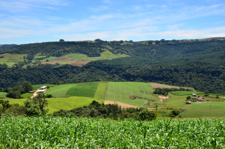 Coopera Agro SC é aprovado na Alesc e marca fortalecimento das cooperativas, agroindústrias e mais competitividade no setor0