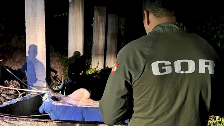 Polícia Militar dá início à Operação Quaresma contra a Farra do Boi