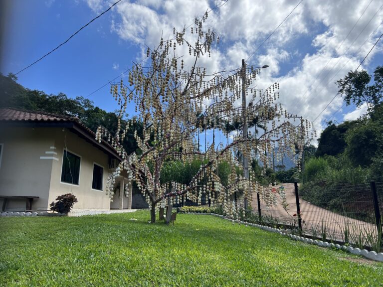 Árvores de Páscoa com milhares de ovos e ideias criativas vencem concurso em SC; veja resultado