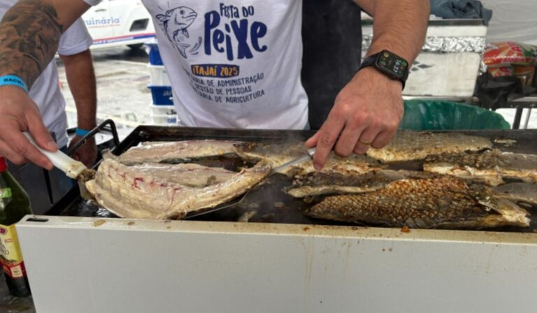 Cidade de SC vai distribuir de 20 toneladas de peixe de graça em festa tradicional