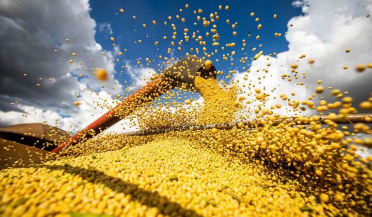 Agro demite em massa 28 mil trabalhadores com fim da escala 6×1; veja alerta da CNA e FPA