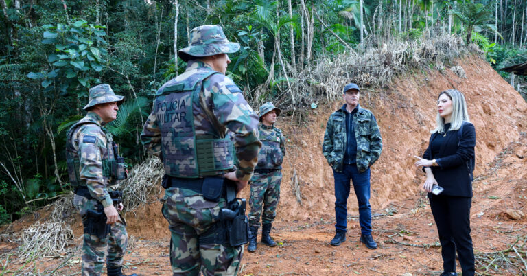 Operação Mata Atlântica em Pé: SC registra 381 hectares de desmatamento ilegal autuados